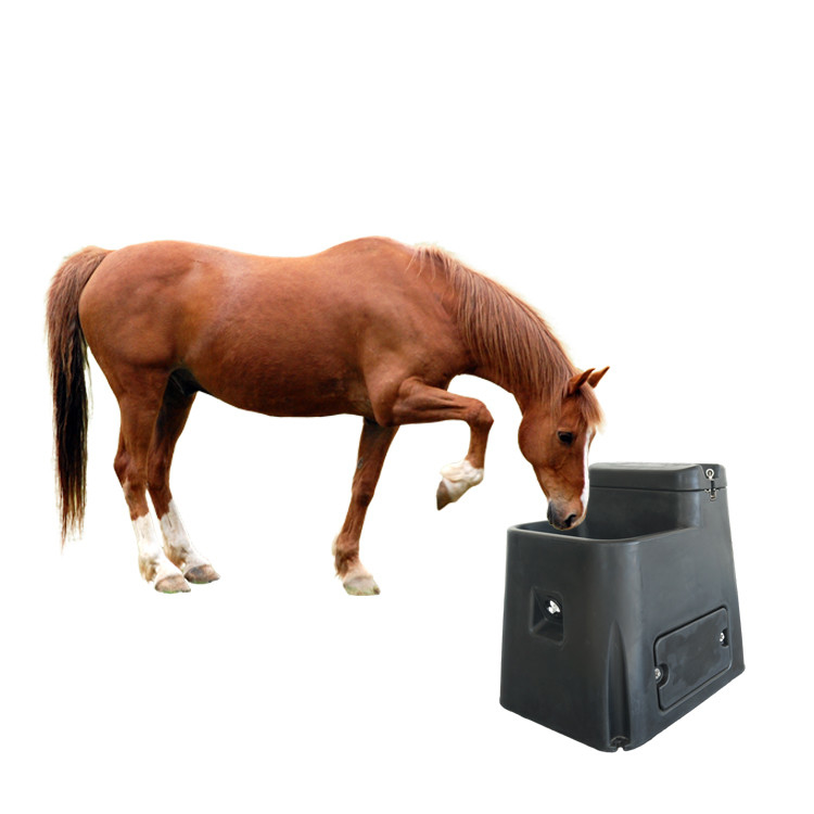 Agua de cavalo durável, durável e fácil de limpar para o gerenciamento do rebanho
