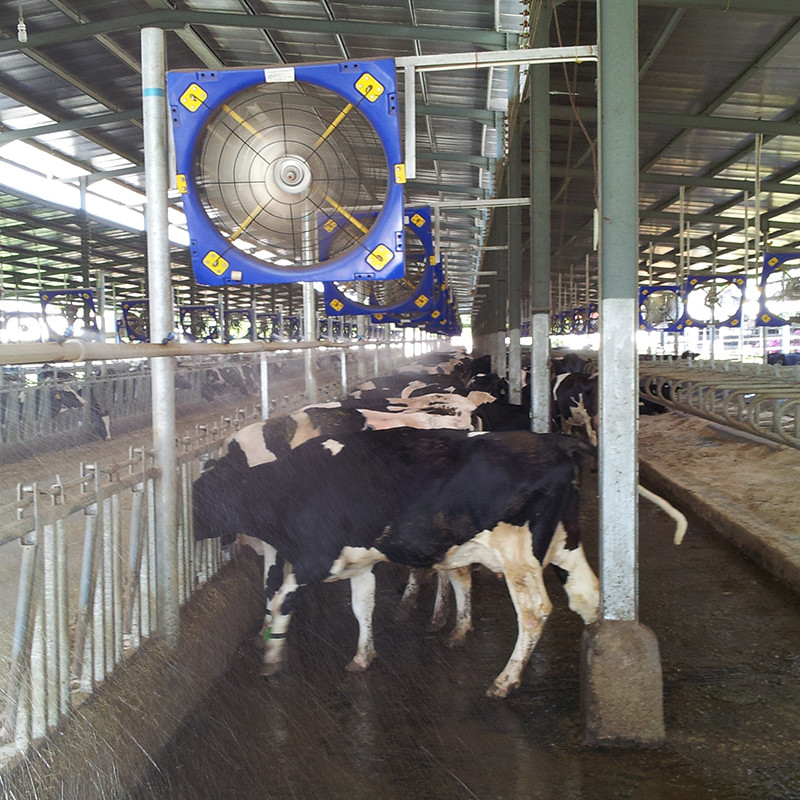 Ventiladores de ventilação de gado de PE de camada dupla com motor PMSM Estrutura de aço galvanizado