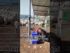 Conservação de calor Tanque de água para animais para abastecimento de água fiável Capacidade 200 kg