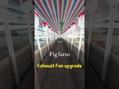 Volume Ventilador de escape industrial 72 polegadas Diâmetro da lâmina IP55 grau de proteção