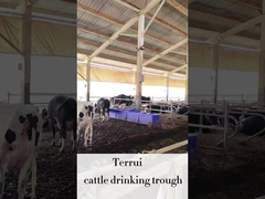 LLDPE Aguacifeira Automática de Pecuária com 3 conjuntos de discos de aquecimento 220V300W para gado