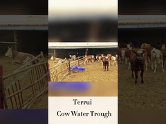 Aquecedor automático de gado com 250 mm de altura de consumo e taxa de fluxo de LLDPE