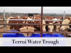 Tanque de água azul pesado de 85L com mangueira trançada 3/4