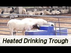 Aguaçadora de vacas de grande capacidade com capacidade de 260 litros e altura de beber de 190 mm