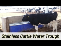 2 conjuntos 1800W aquecimento ajustável Pecuária Automático regador com taxa de fluxo de 100-120L/min