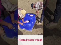 Rate de fluxo de 50 L/min. Aguaçador automático de gado