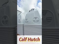 Dezenas a centenas de quilos de casinhas de bezerros brancos com fácil instalação