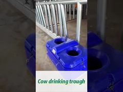 Aguaçador de vacas de alta taxa de fluxo para fácil rega a 450 mm de altura de bebida