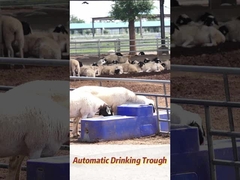 Capacidade de produção agrícola