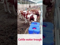 LLDPE Blue Cow Waterer A solução perfeita para a gestão do gado