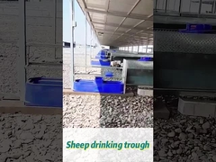 Capacitação de 60L Capacitação de 170*48*46cm Ideal para grandes rebanhos