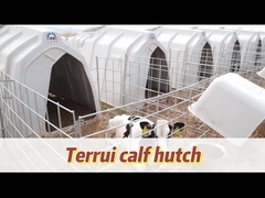 Casa de vitela ventilada para vitelos