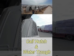 220*145*145cm Rectangular Leite de Bezerro para Melhorar a Saúde e o Bem-Estar