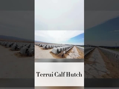 220*145*145cm Cabeçudos de Bezerro Branco Perfeitos para as Vossas Necessidades Agrícolas