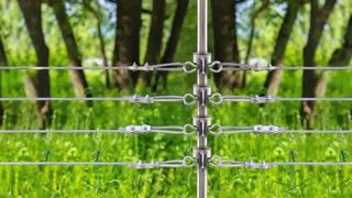 Proteja seu gado: como instalar isoladores T-Post em cercas elétricas