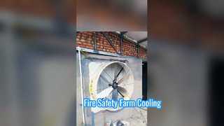 Ventilação de alta velocidade: exaustores industriais Terrui em ação