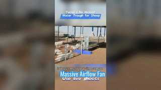 Calha de água para gado aquecida de 1,7 m feita de invólucro de plástico durável para suportar condições de frio extremo